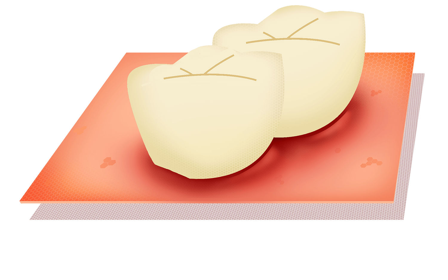 Zähne und Zahnfleisch