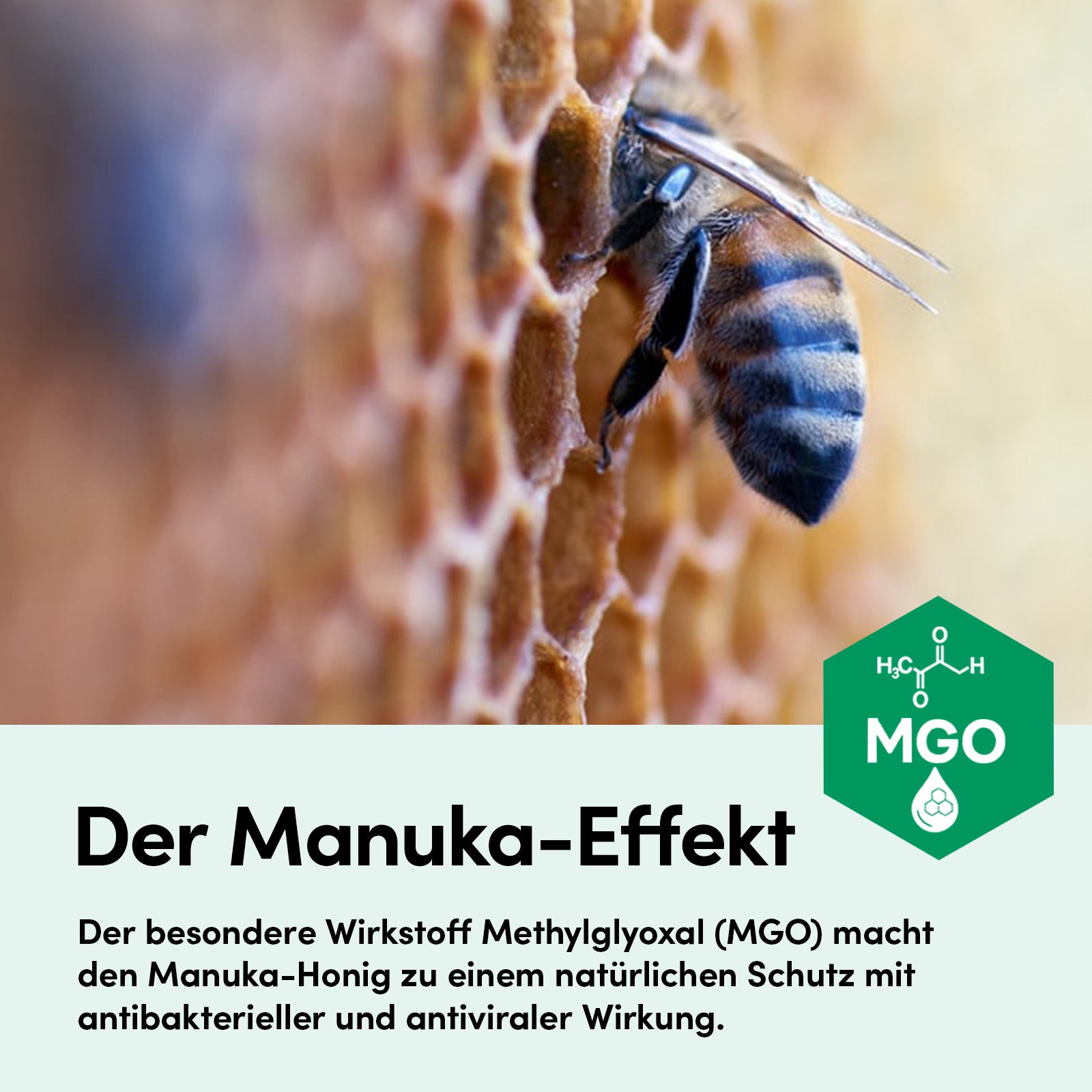 ManukaLind Wundauflagen